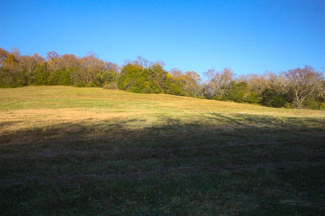 0 Peytonsville Road Franklin, TN 37064 - Photo 13 of 60