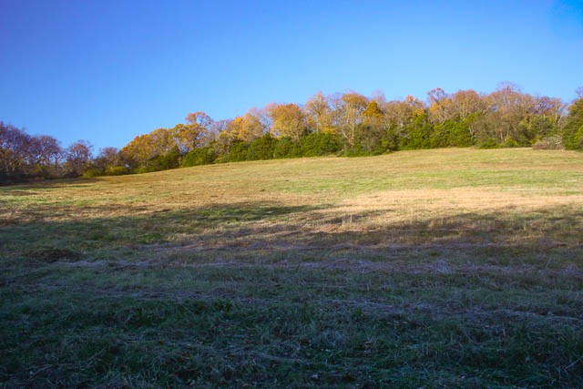 0 Peytonsville Road Franklin, TN 37064 - Photo 14 of 60