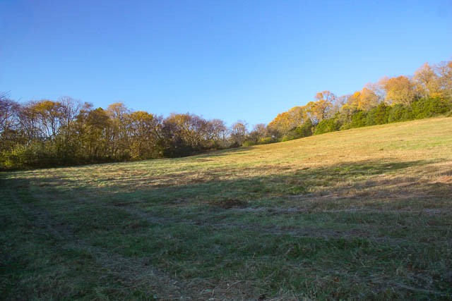 0 Peytonsville Road Franklin, TN 37064 - Photo 15 of 60