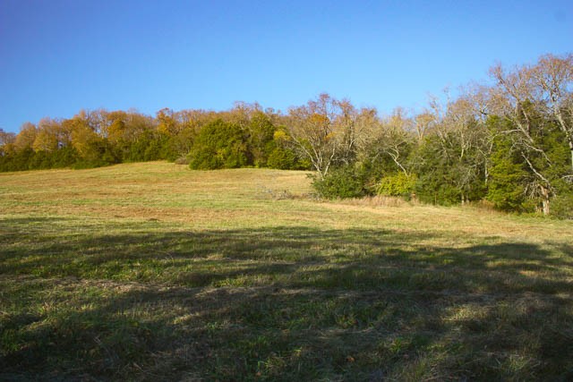 0 Peytonsville Road Franklin, TN 37064 - Photo 16 of 60