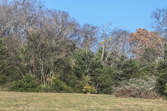 0 Peytonsville Road Franklin, TN 37064 - Photo 17 of 60