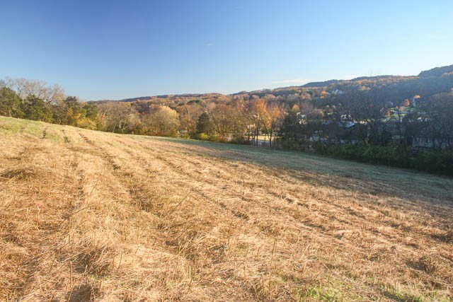 0 Peytonsville Road Franklin, TN 37064 - Photo 19 of 60