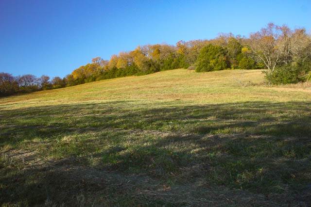 0 Peytonsville Road Franklin, TN 37064 - Photo 2 of 60