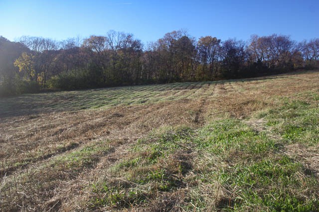 0 Peytonsville Road Franklin, TN 37064 - Photo 21 of 60