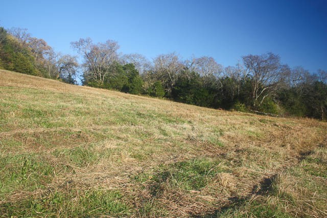 0 Peytonsville Road Franklin, TN 37064 - Photo 23 of 60