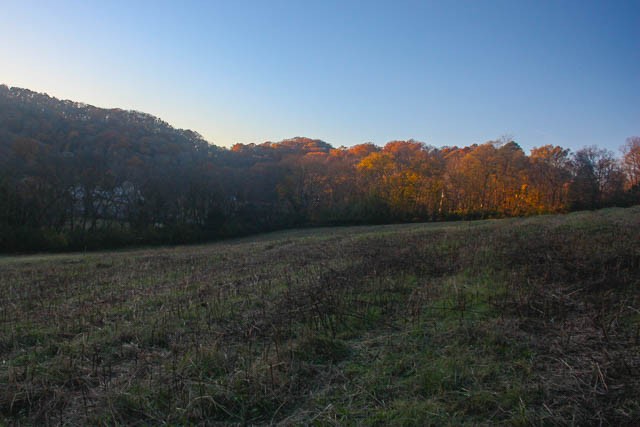 0 Peytonsville Road Franklin, TN 37064 - Photo 29 of 60