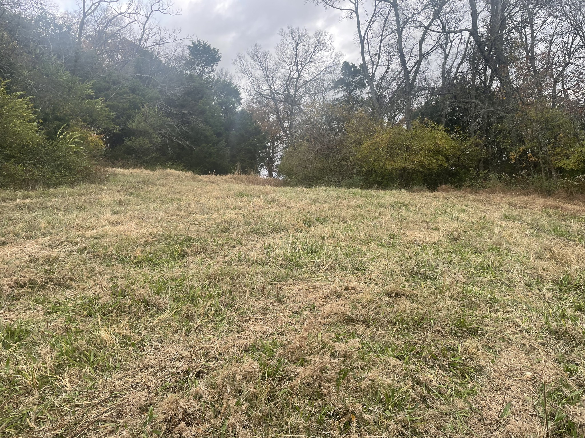 0 Peytonsville Road Franklin, TN 37064 - Photo 35 of 60
