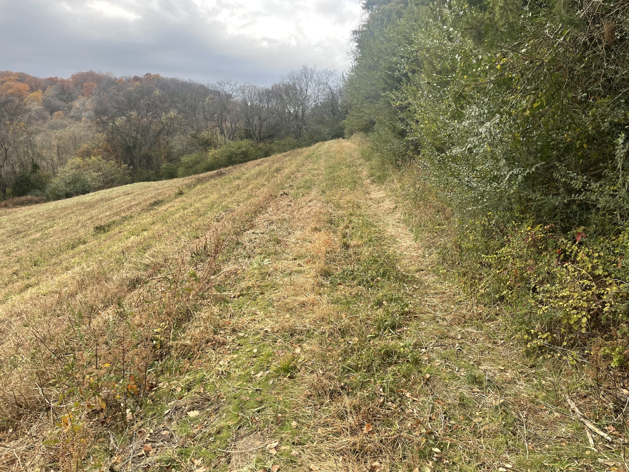 0 Peytonsville Road Franklin, TN 37064 - Photo 37 of 60
