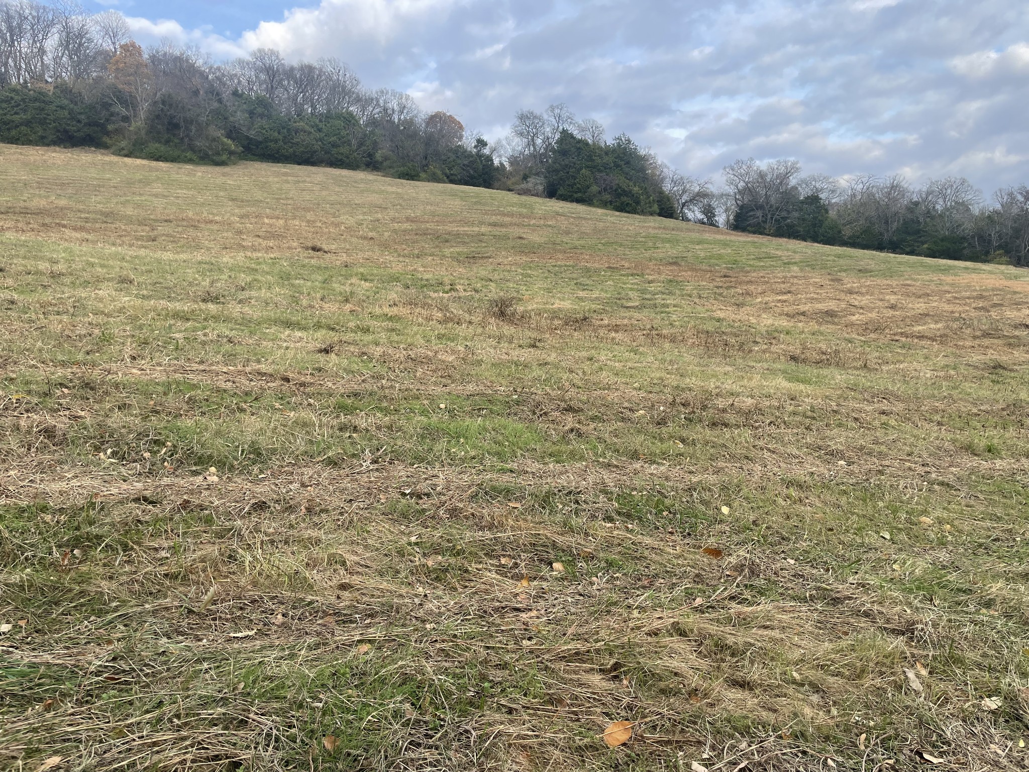 0 Peytonsville Road Franklin, TN 37064 - Photo 38 of 60