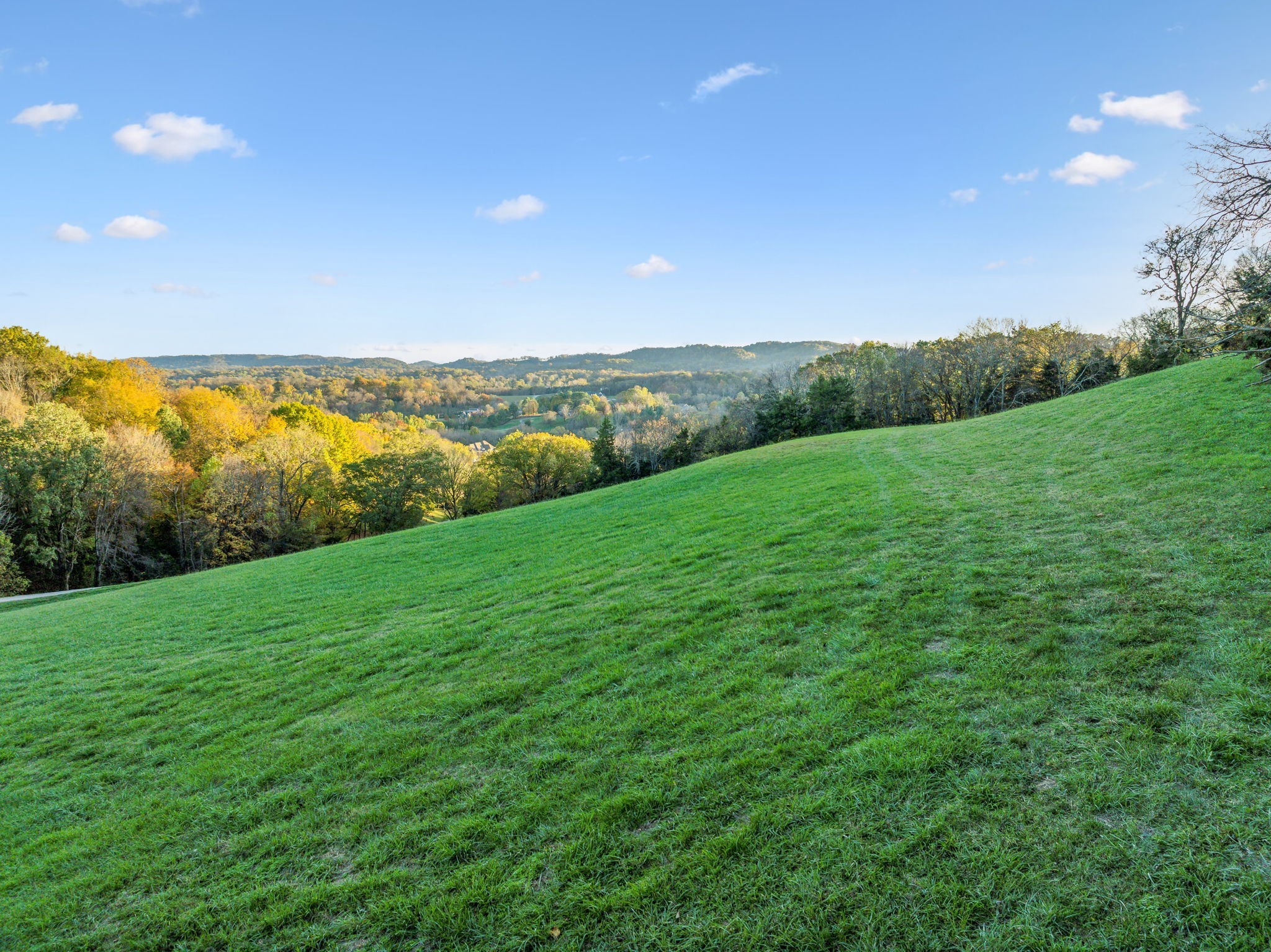 0 Peytonsville Road Franklin, TN 37064 - Photo 5 of 60