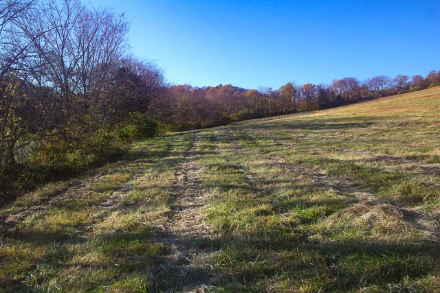 0 Peytonsville Road Franklin, TN 37064 - Photo 8 of 60