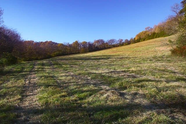 0 Peytonsville Road Franklin, TN 37064 - Photo 9 of 60