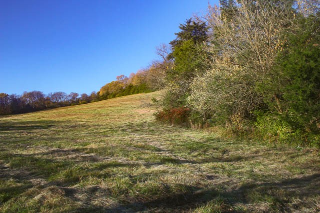 0 Peytonsville Road Franklin, TN 37064 - Photo 10 of 60