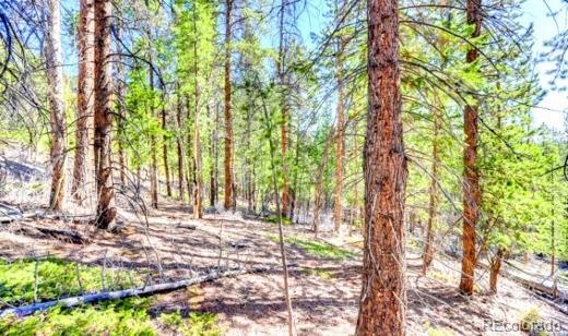 111 Swift Claim Road Idaho Springs, CO 80452 - Photo 5 of 9 a view of outdoor space with deck and trees
