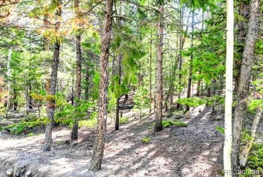 111 Swift Claim Road Idaho Springs, CO 80452 - Photo 6 of 9 a view of outdoor space and garden