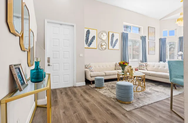 a living room with furniture a rug and a potted plant