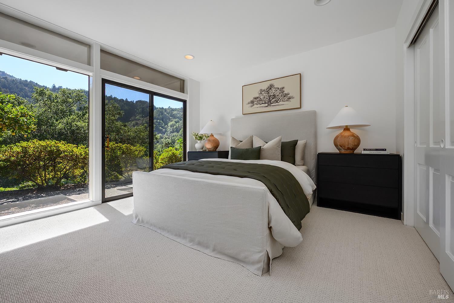 40 Blue Ridge Road Kentfield, CA 94904 - Photo 47 of 87 Gallery Image 47