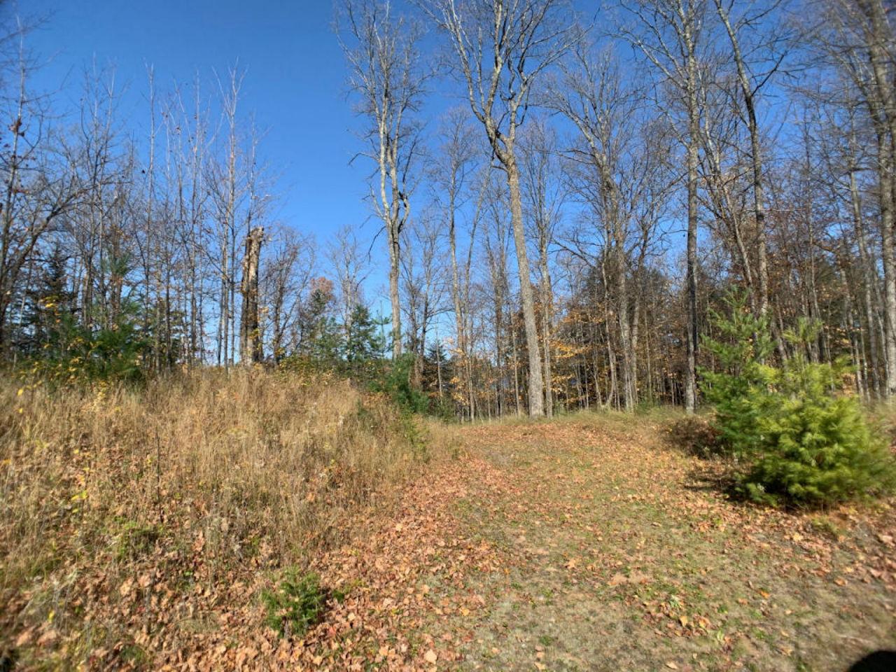 Lot2 Lot2 Cth Ff Mercer, WI 54547 - Photo 27 of 29 Gallery Image 27