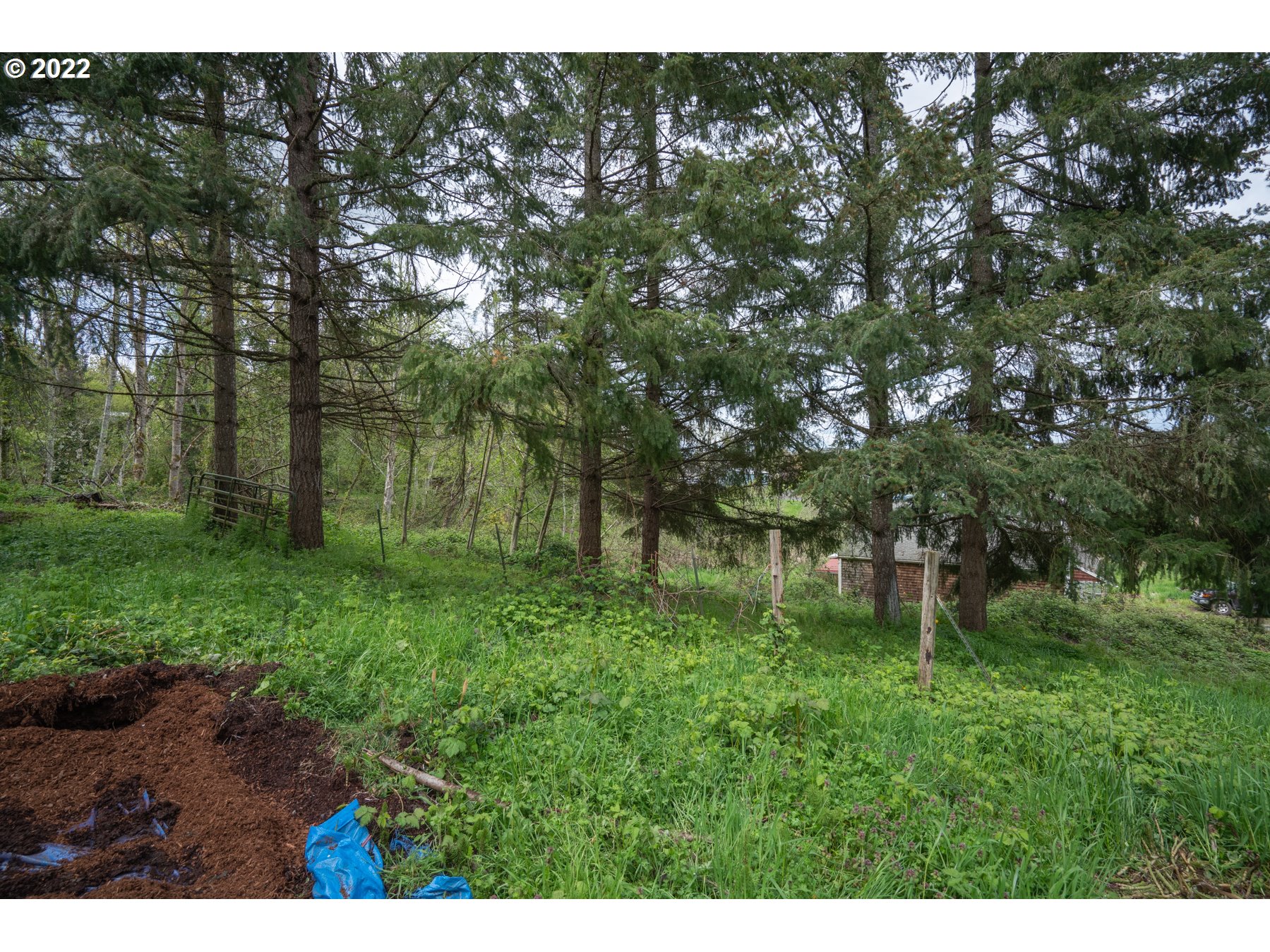 690 Crooked Finger Road Northeast Scotts Mills, OR 97375 - Photo 19 of 30 Gallery Image 19
