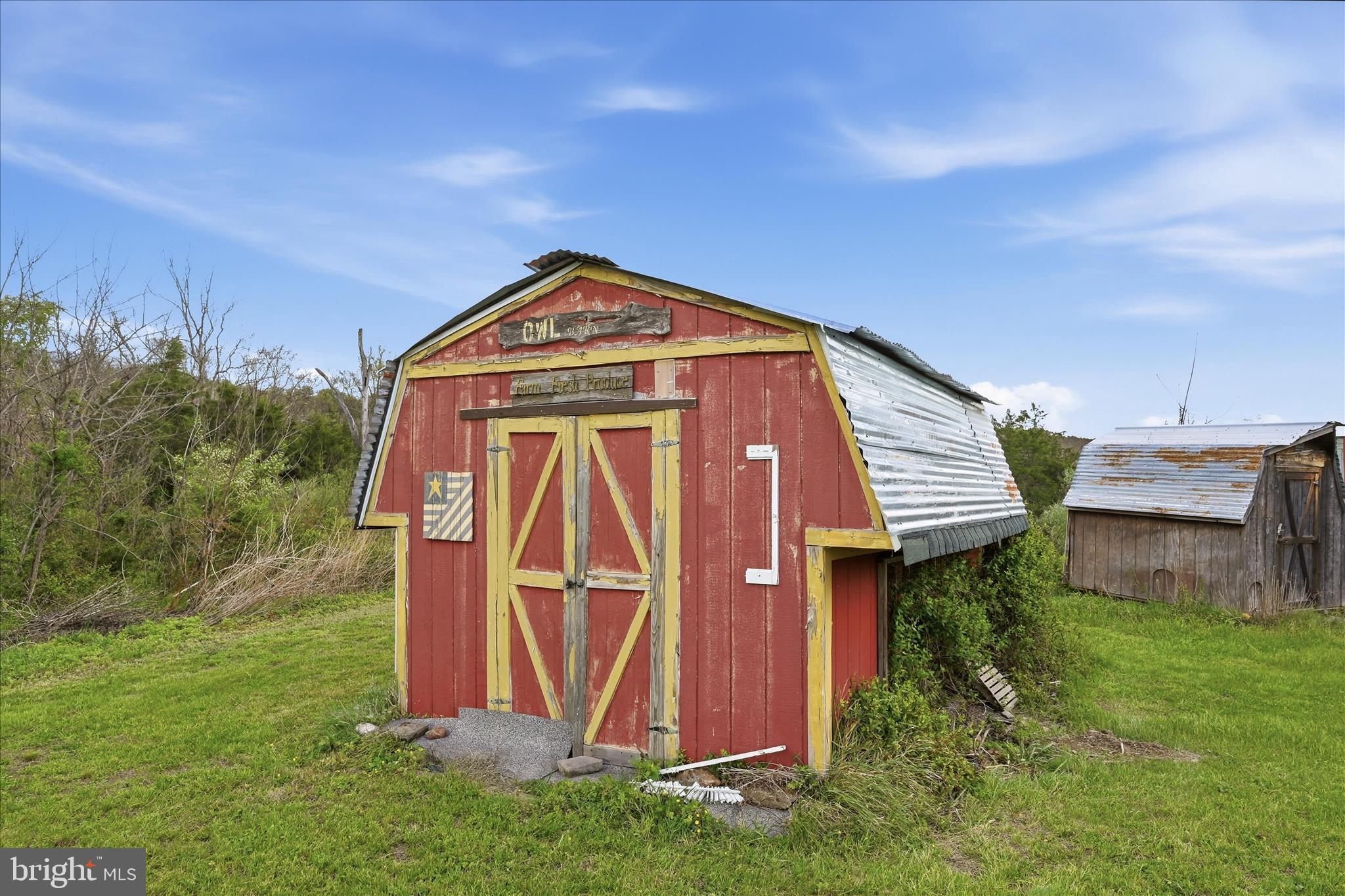 2121 South Pifer Road Star Tannery, VA 22654 - Photo 59 of 126 Shed