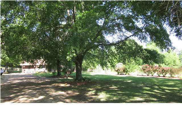 1321 Black Jack Road Vaughan, MS 39179 - Photo 3 of 20 Photo 3