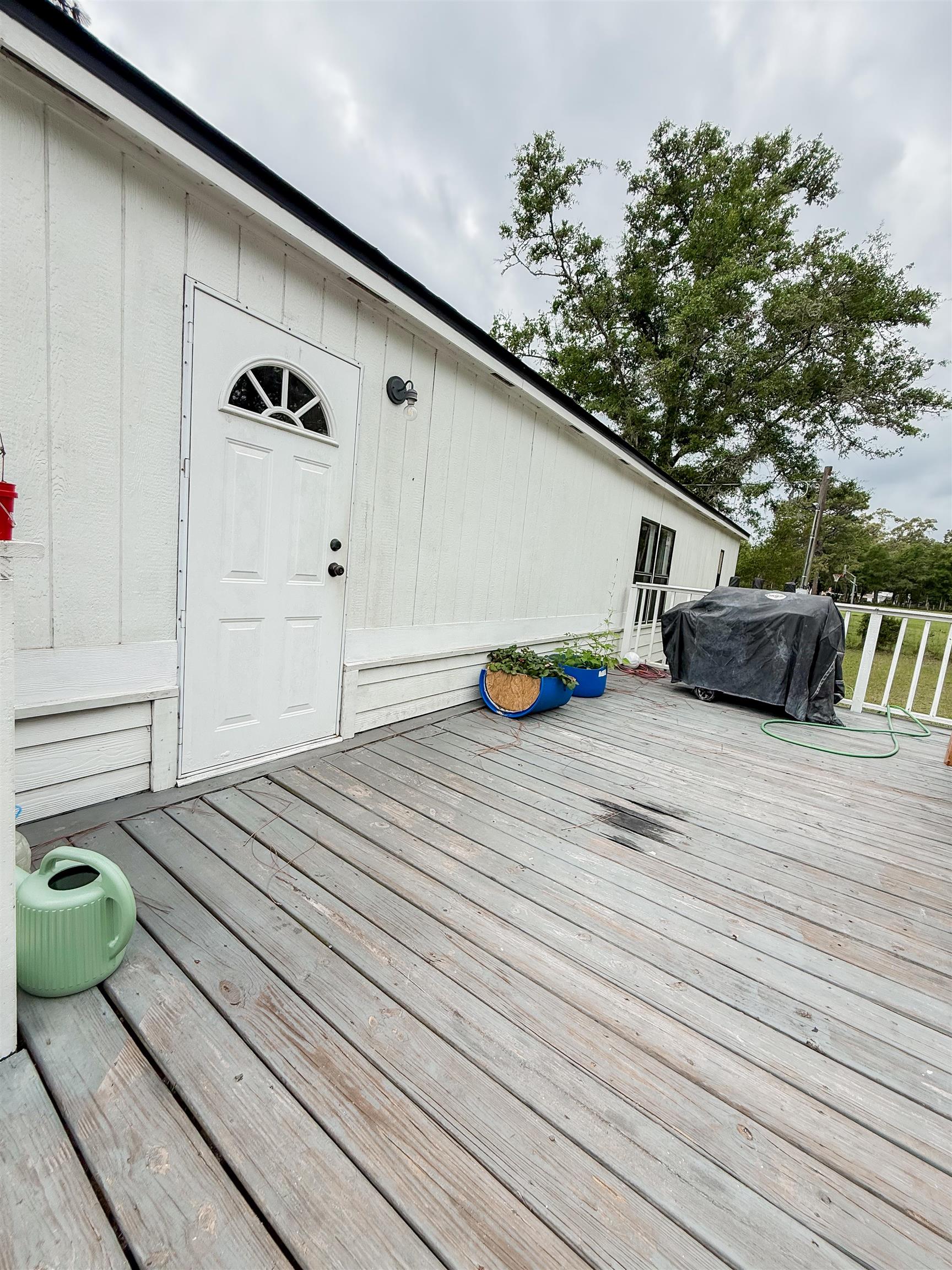 726 Shadeville Road Crawfordville, FL 32327 - Photo 33 of 43