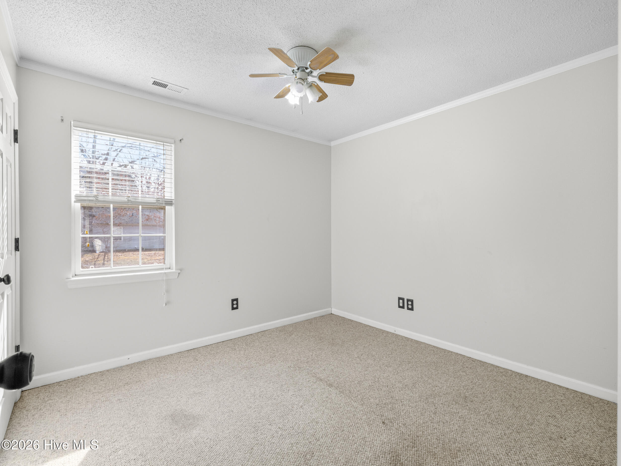 378 Riggs Road Hubert, NC 28539 - Photo 29 of 37 025a5523