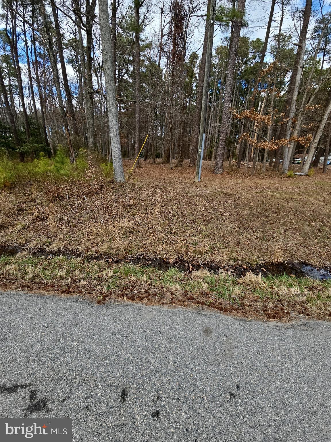 Romancoke Road Stevensville, MD 21666 - Photo 20 of 21 a view of backyard with green space