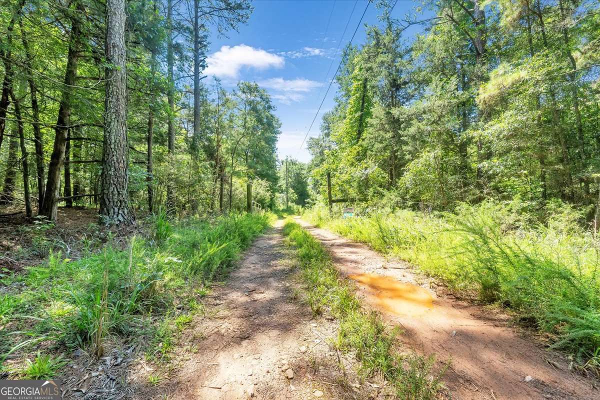 336 Piney Grove Road Comer, GA 30629 - Photo 17 of 20