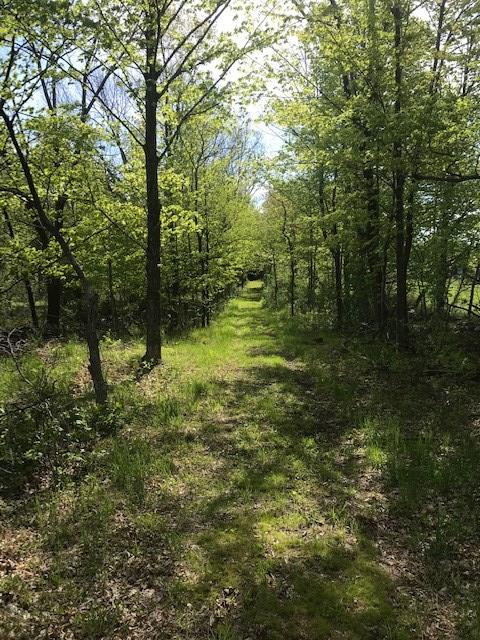 Lot 1 West Meadow Road Fish Creek, WI 54212 - Photo 10 of 33 Gallery Image 10