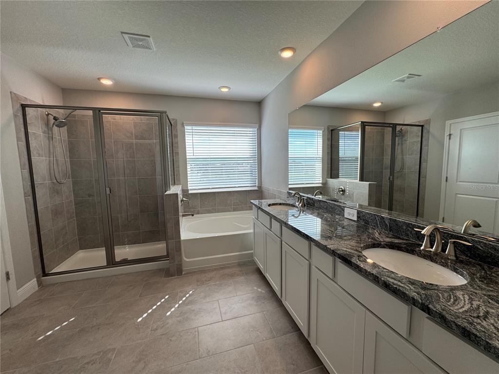 17710 Cantarina Cove Bradenton, FL 34211 - Photo 18 of 36 a bathroom with double vanity and a bathtub