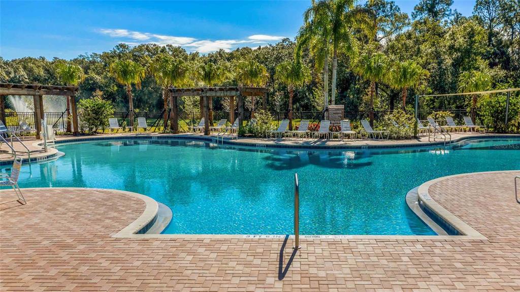 17710 Cantarina Cove Bradenton, FL 34211 - Photo 27 of 36 a view of swimming pool with outdoor seating and lake view
