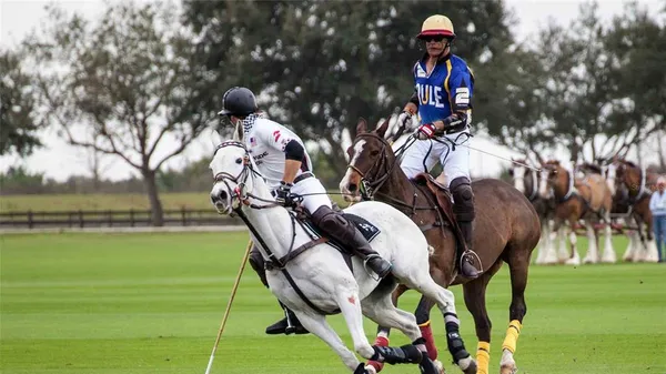 $3,680 | 17710 Cantarina Cove, Bradenton, FL 34211