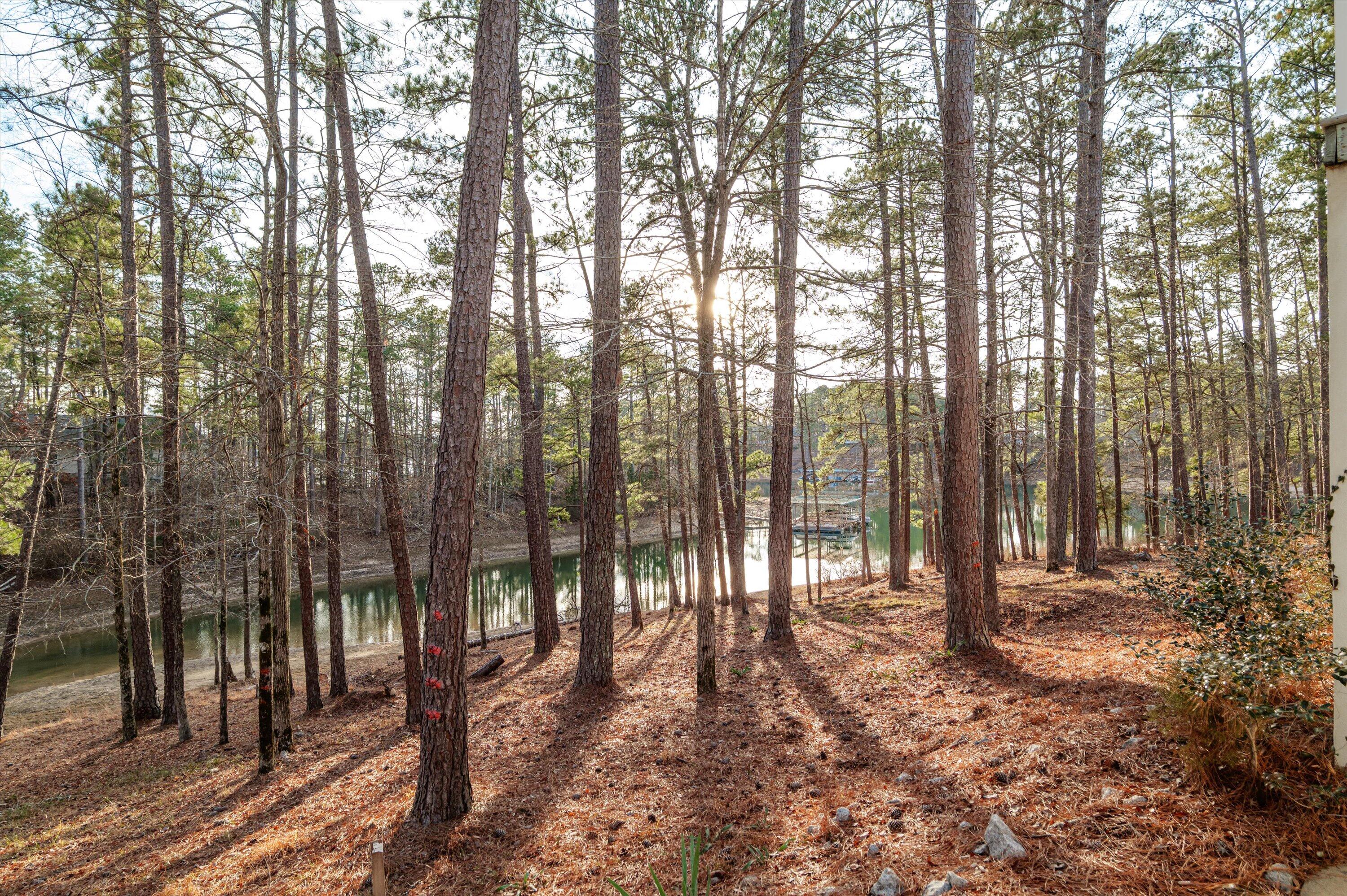 210 Daly Place McCormick, SC 29835 - Photo 2 of 58 Water view