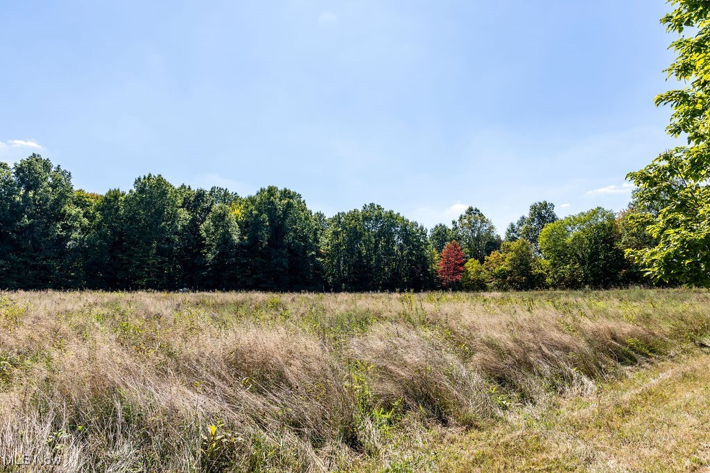 8131 Leffingwell Road Canfield, OH 44406 - Photo 5 of 37 View of tree filled area featuring a view of rural / pastoral area