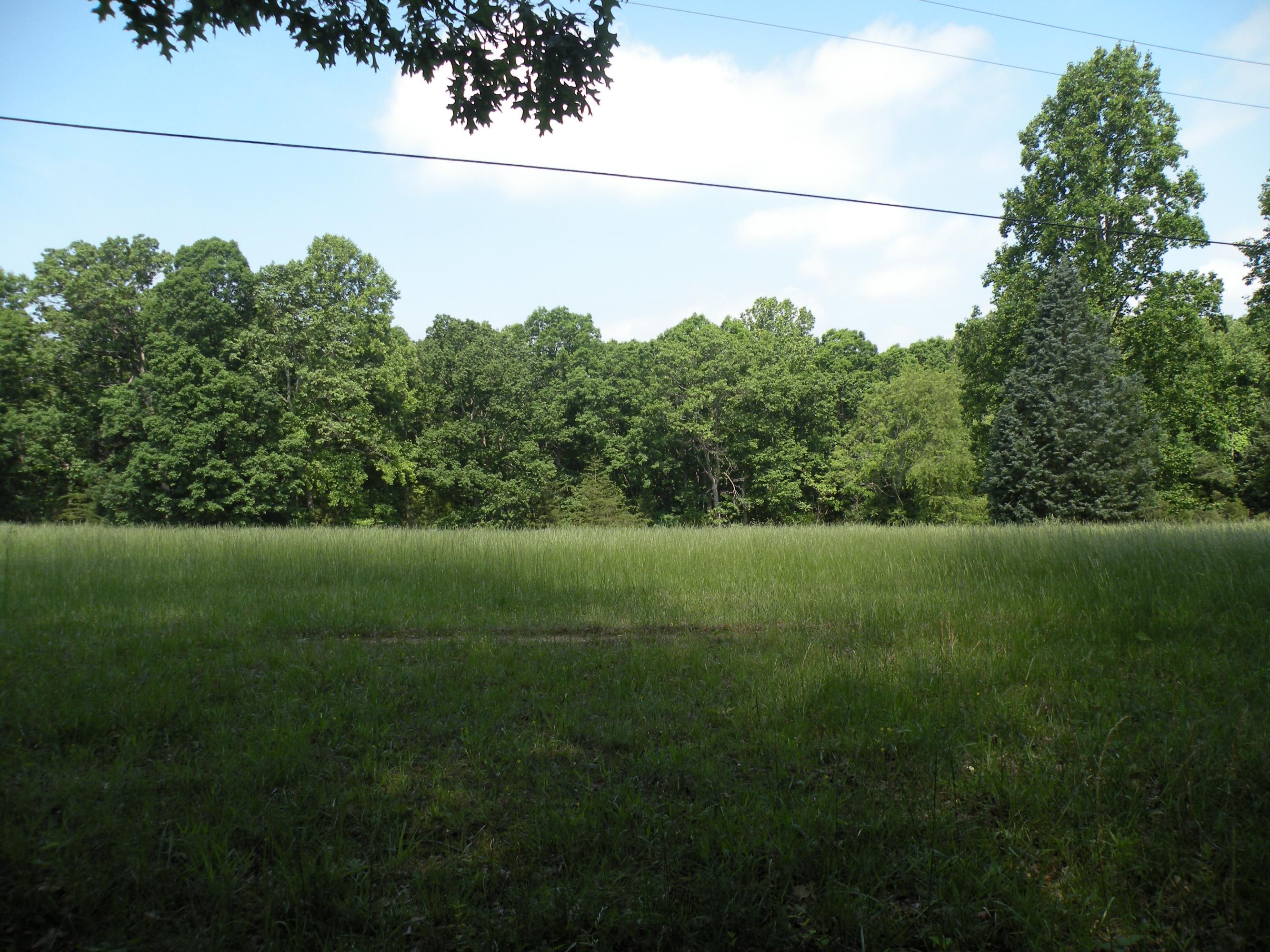 Lot 8 Trading Post Road Huddleston, VA 24104 - Photo 3 of 11 DSCN7042