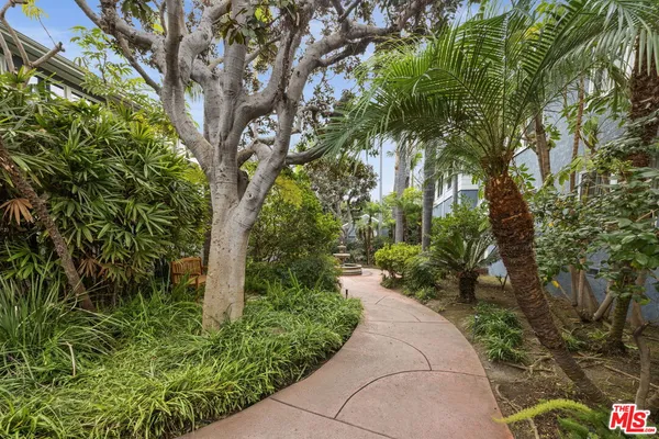 a view of a garden with plants
