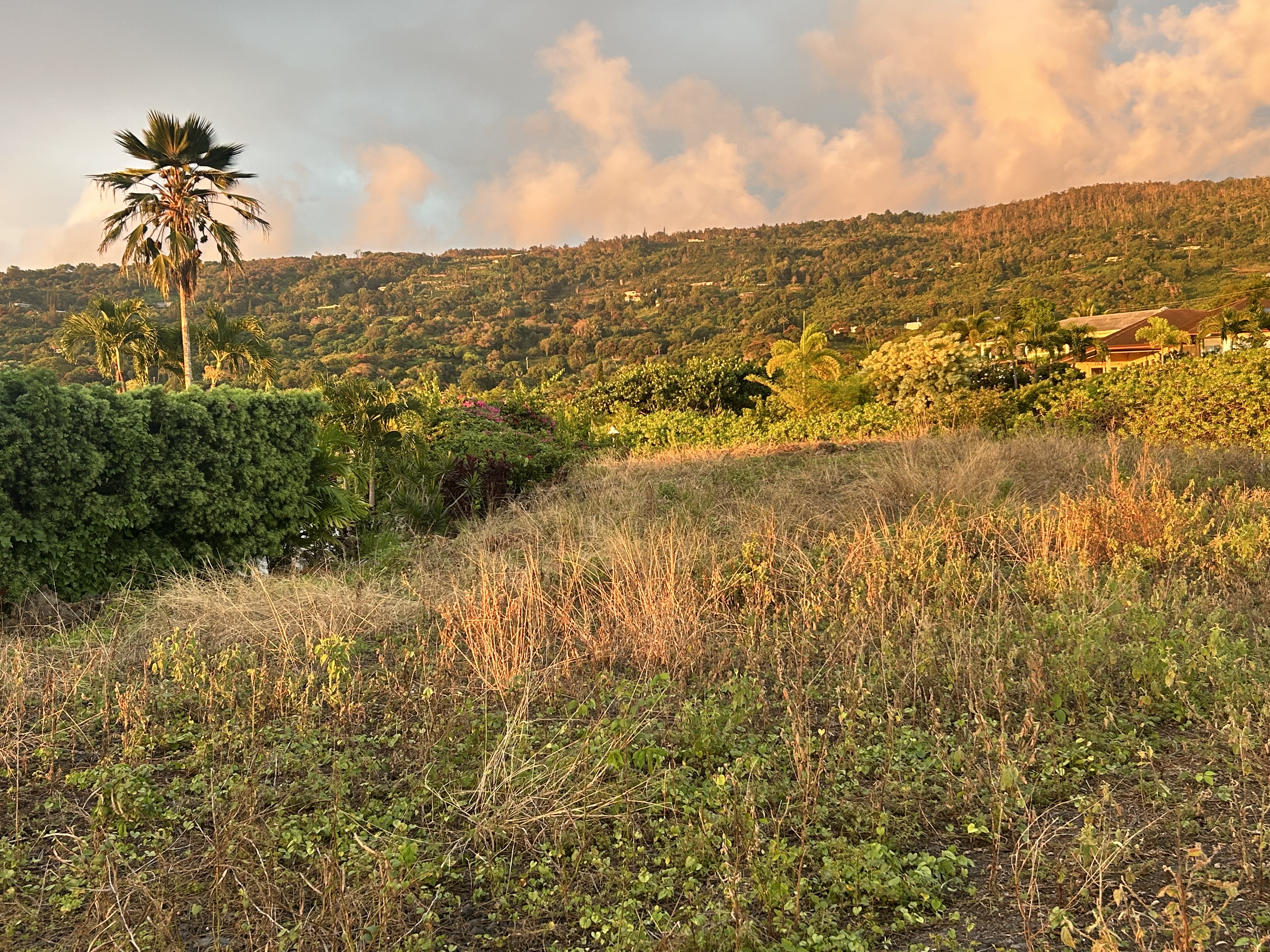 83-5673 Lot 1 Kanele Street Captain Cook, HI 96704 - Photo 4 of 4