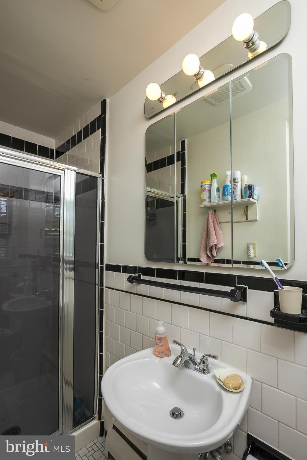 9722 Frederick Road Ellicott City, MD 21042 - Photo 13 of 28 Bath (Master)