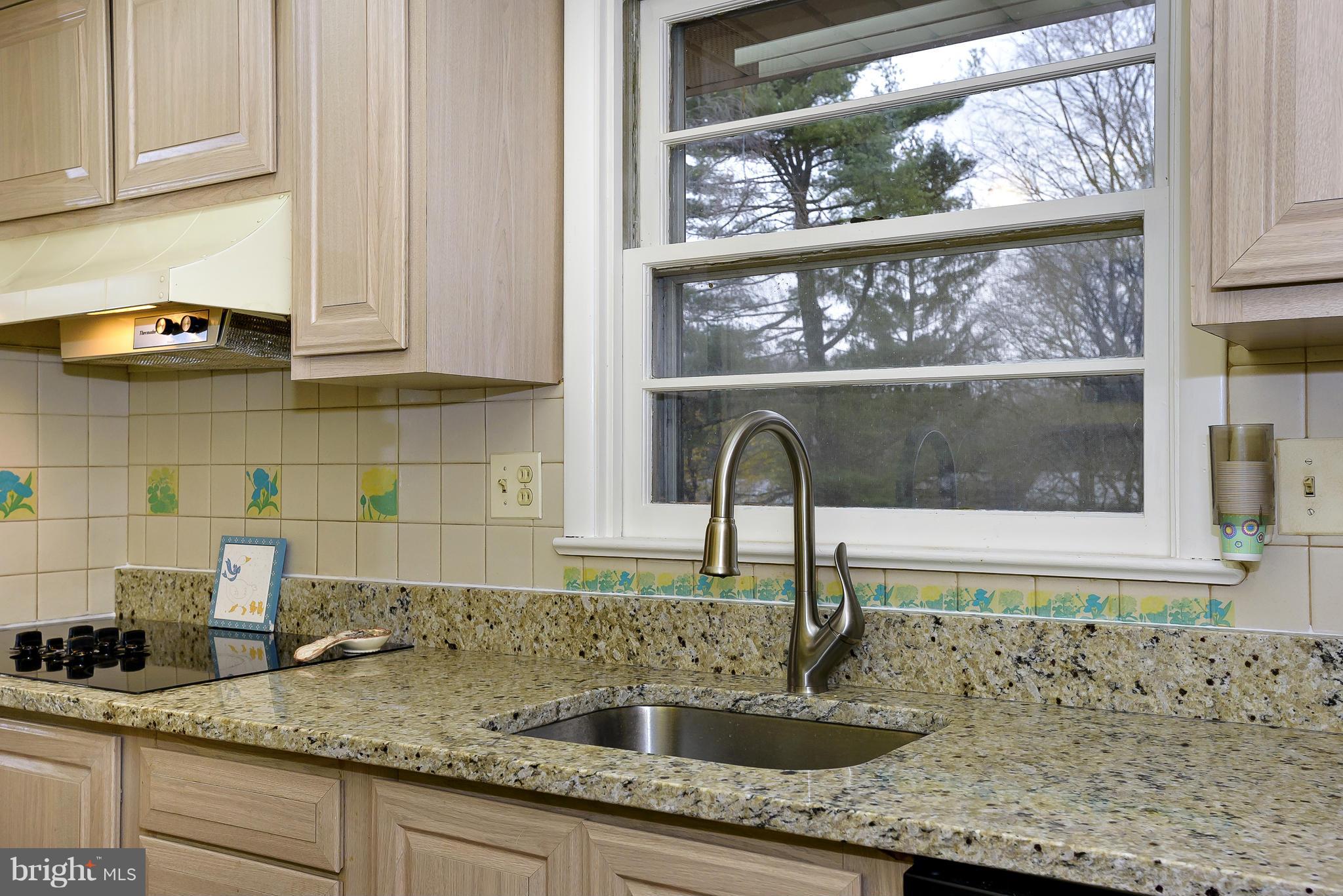 9722 Frederick Road Ellicott City, MD 21042 - Photo 6 of 28 Kitchen