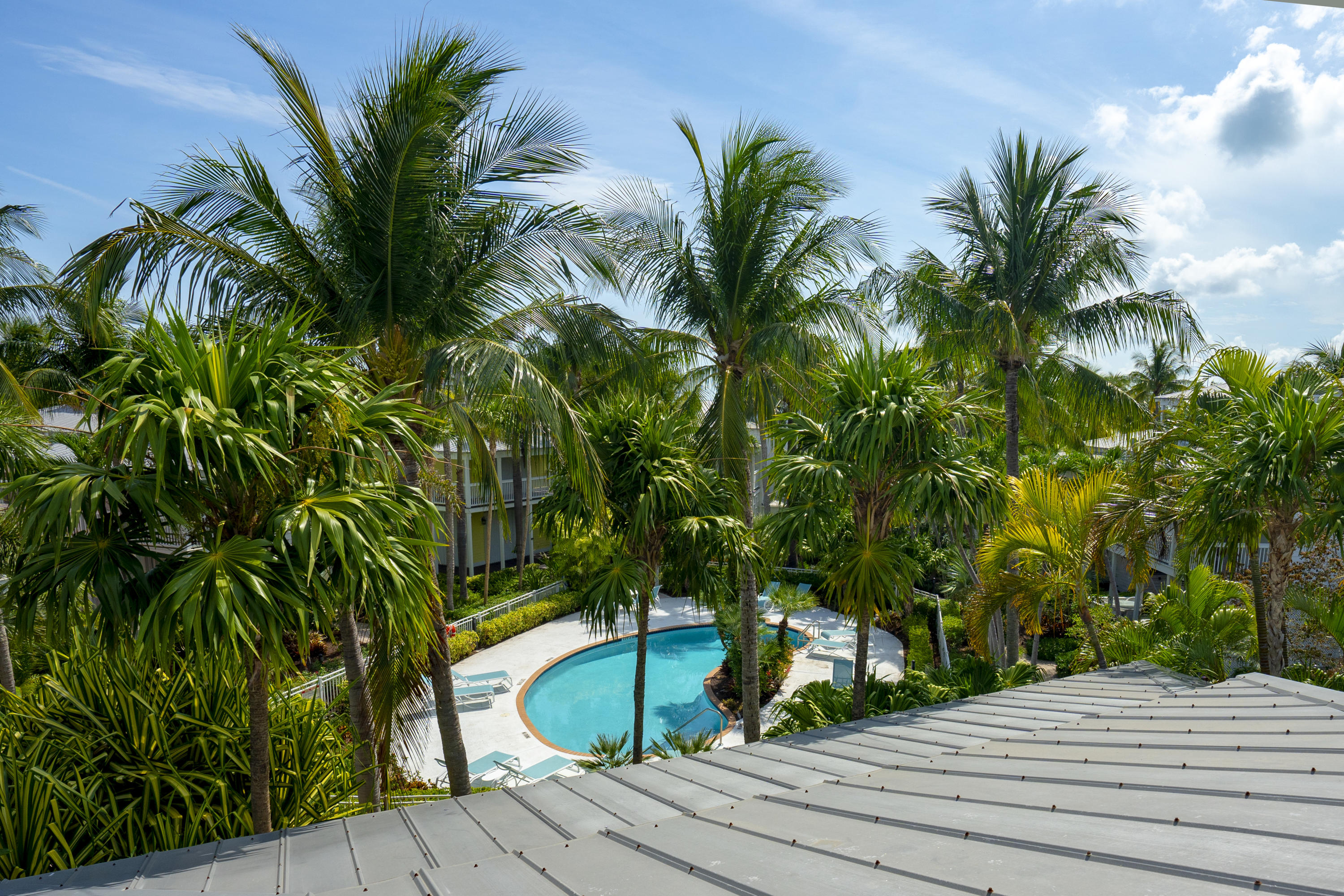 70 Sunset Key Drive Key West, FL 33040 - Photo 17 of 22 a view of a backyard and trees