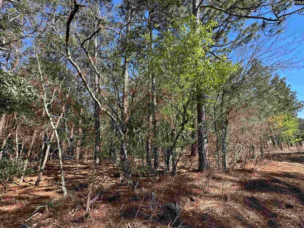 $60,000 | Lot 9 Mimosa Drive, Gaston, SC 29053