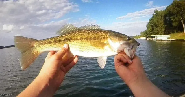 $305,000 | 462 Flat Swamp Lake Road, Denton, NC 27239