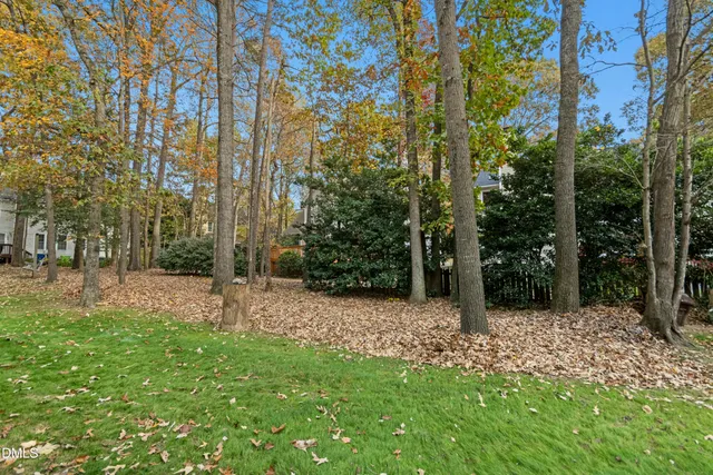 a backyard of a house with lots of green space and fountain
