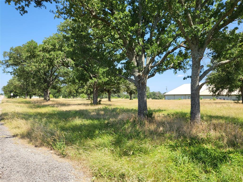 0 Fm 1651 Canton, TX 75103 - Photo 6 of 9 a view of yard with trees
