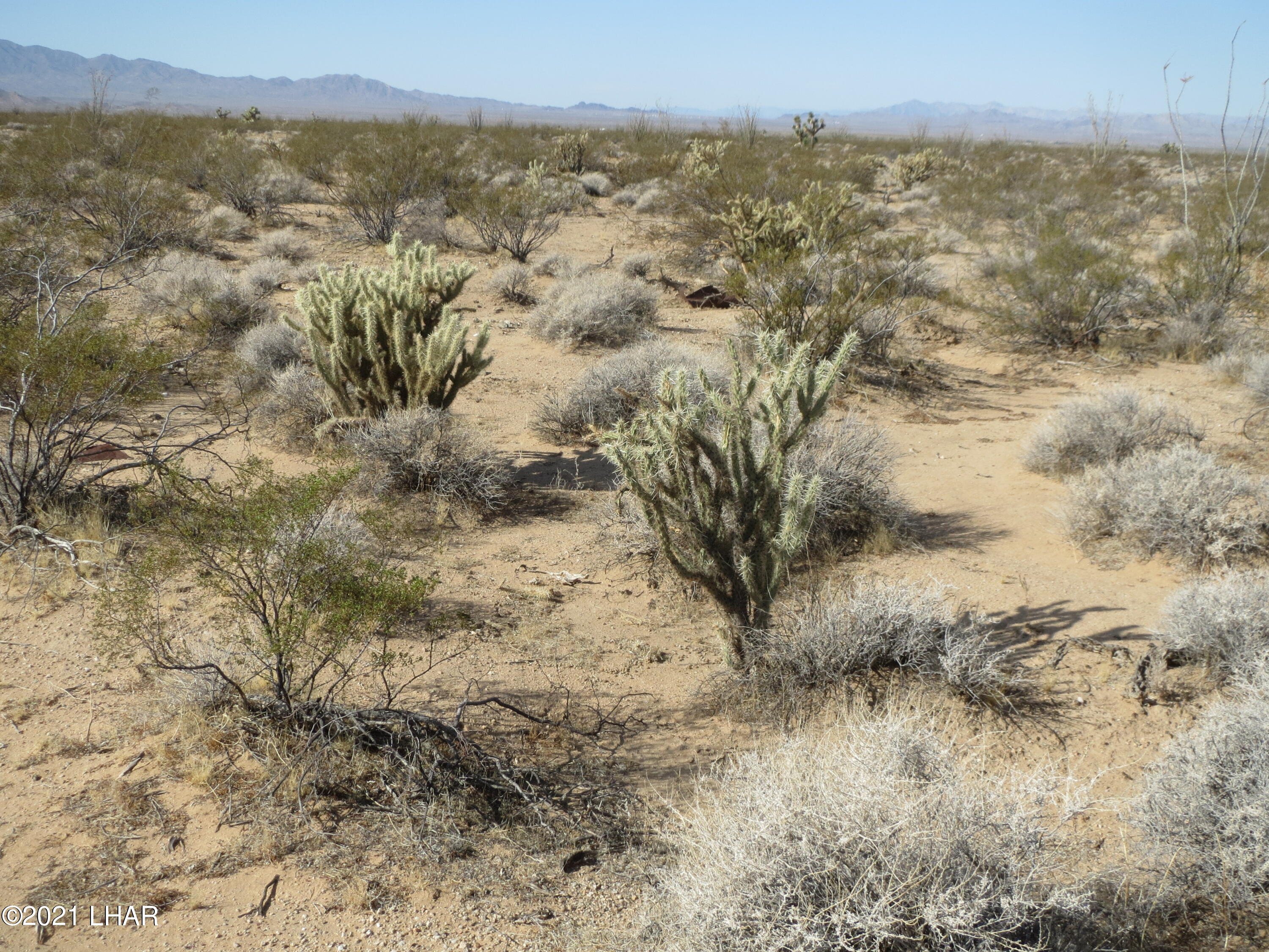 Lot 58 Rio Vista Topock, AZ 86436 - Photo 7 of 10 IMG_6288