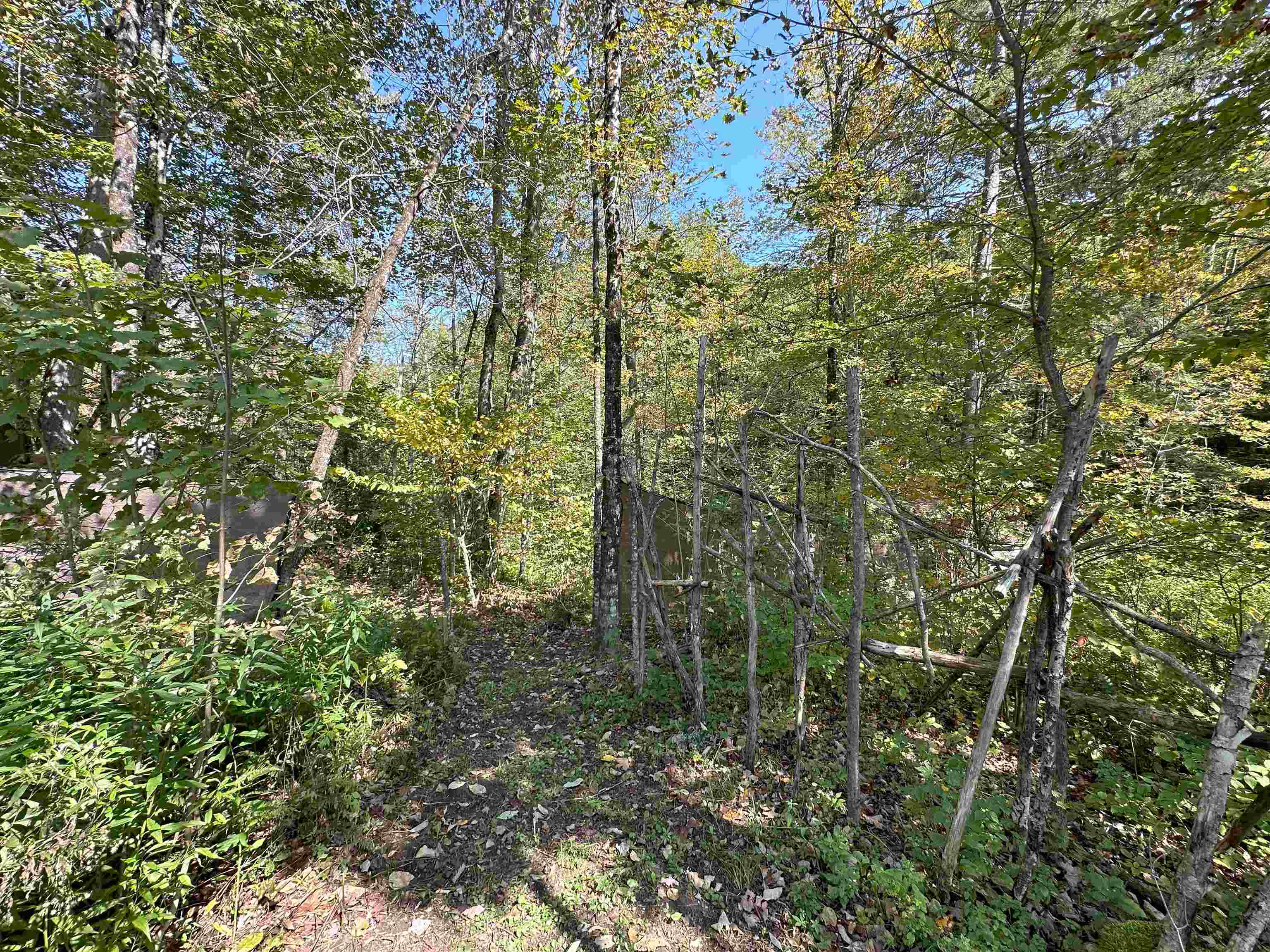 Foote Brook Road Johnson, VT 05656 - Photo 10 of 10