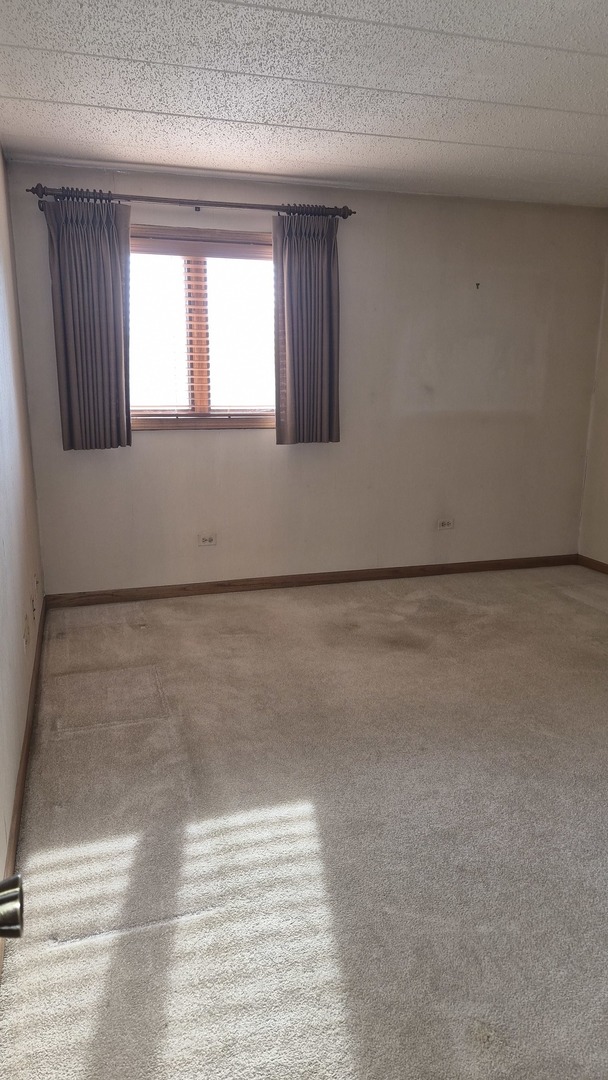 10845 South 84th Avenue, Unit 2A Palos Hills, IL 60465 - Photo 15 of 23