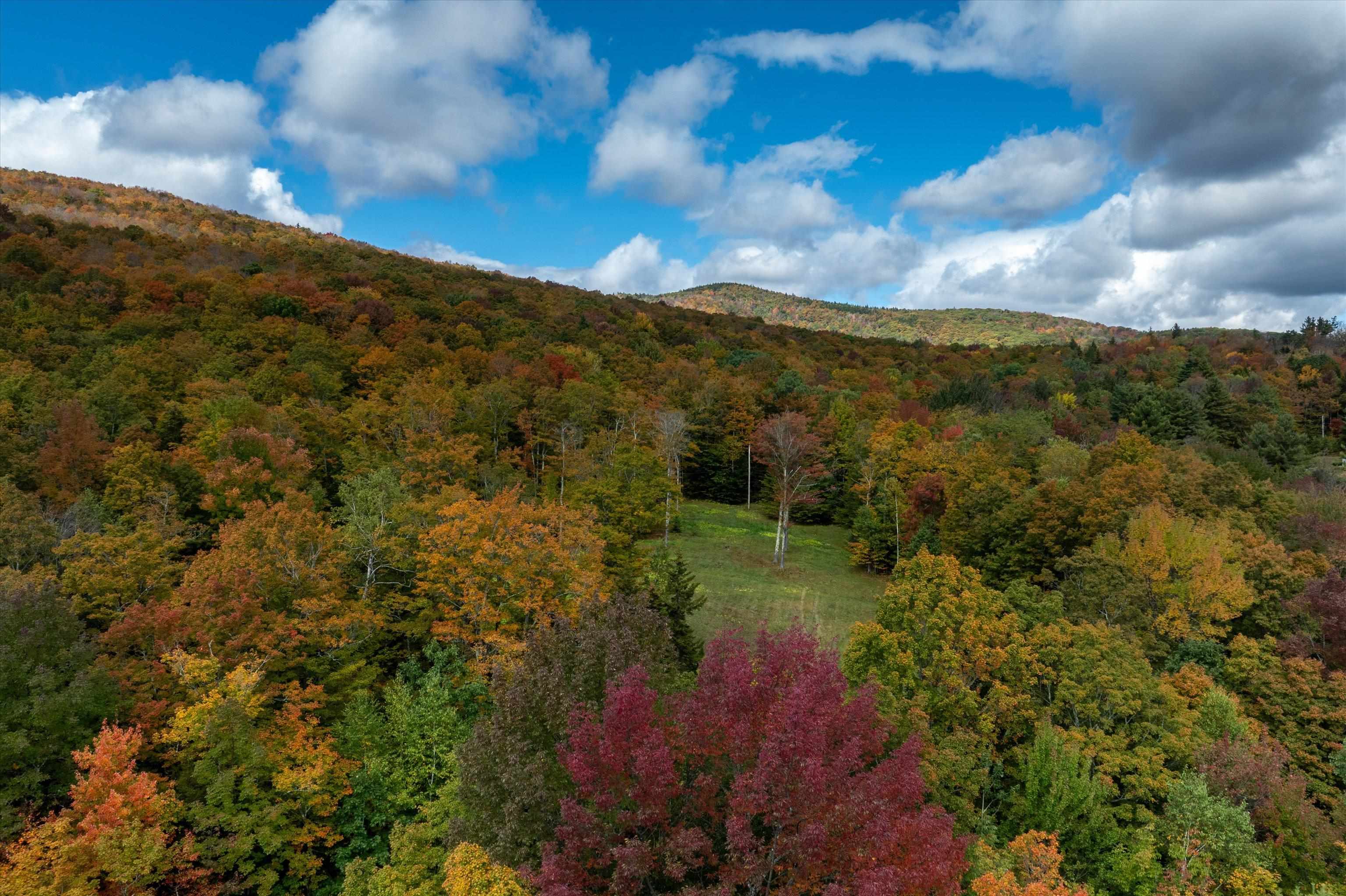 47 Whites Hill Road Dover, VT 05341 - Photo 7 of 39
