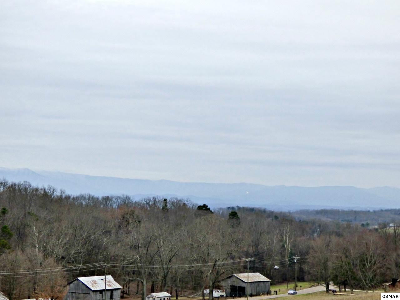 4 Valley Home Road Dandridge, TN 37725 - Photo 20 of 30 Gallery Image 20